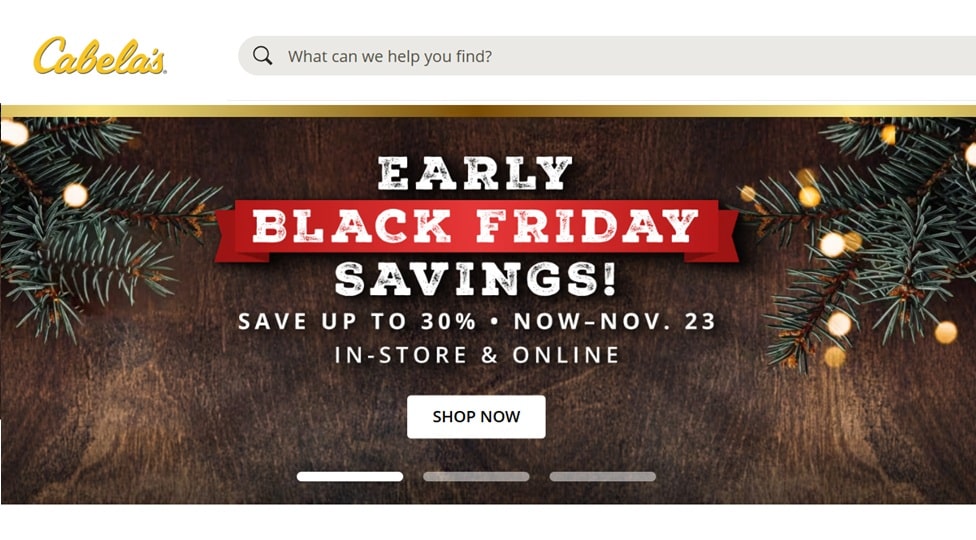 desiindian-cabelas